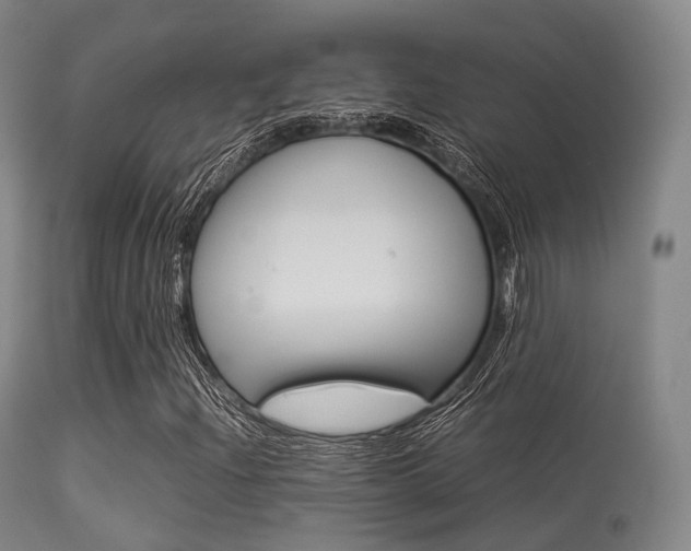 X0000113541204200909181015