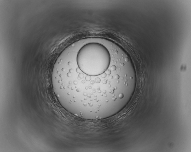 X0000113541205200909181015