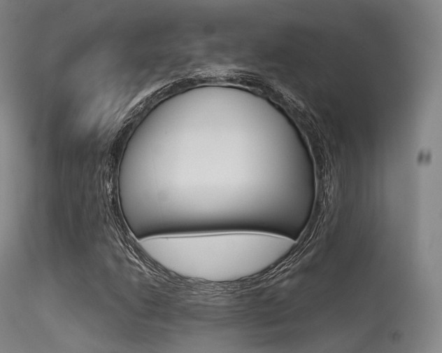 X0000113541206200909181015