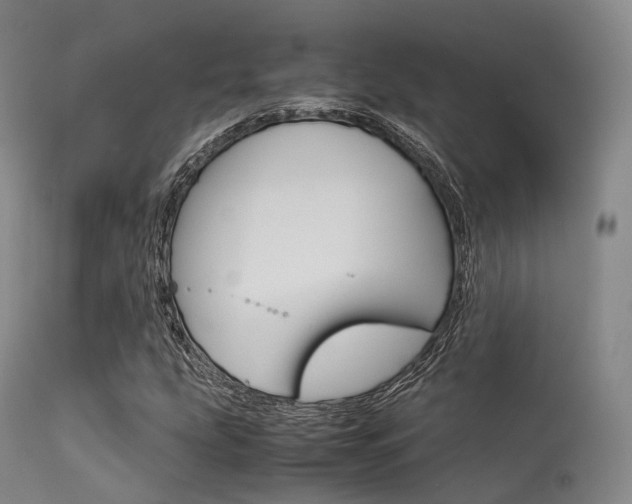X0000113541207200909181015