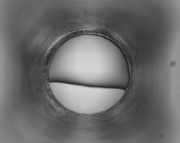 X0000113541208200909181015