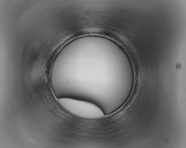 X0000113541209200909181015
