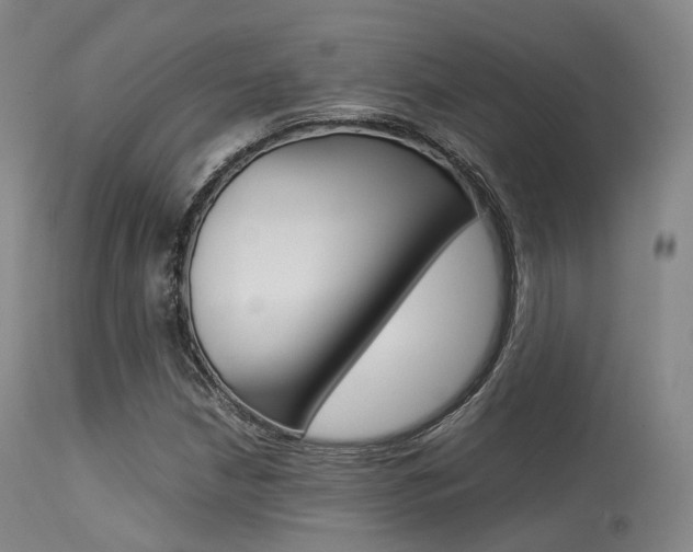 X0000113541210200909181015
