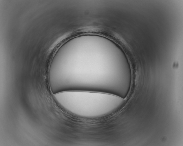 X0000113541213200909181015