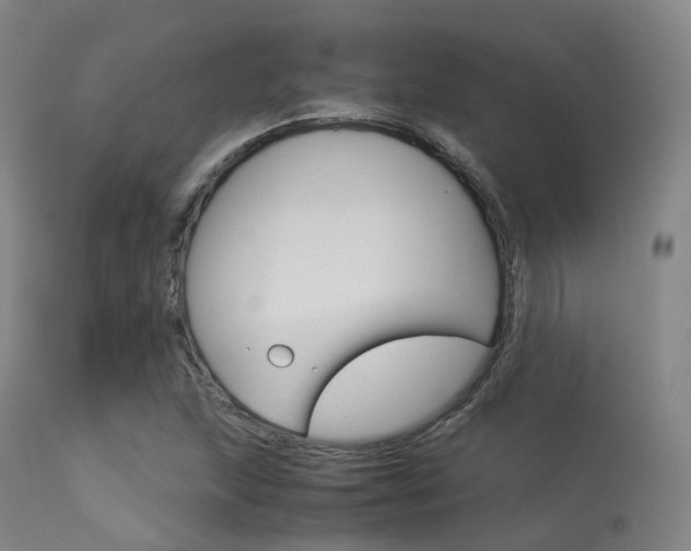 X0000113541215200909181015