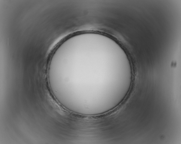 X0000113541216200909181015
