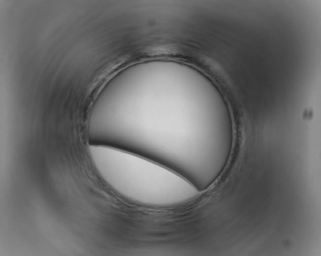 X0000113541217200909181015