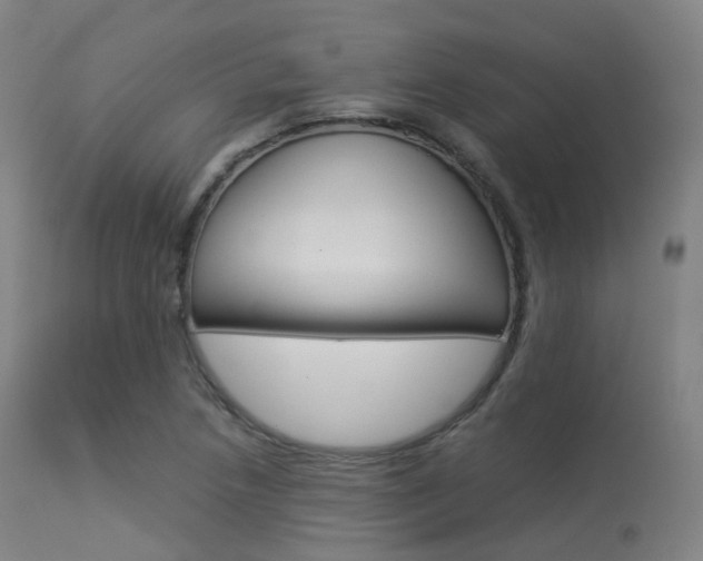 X0000113541218200909181015