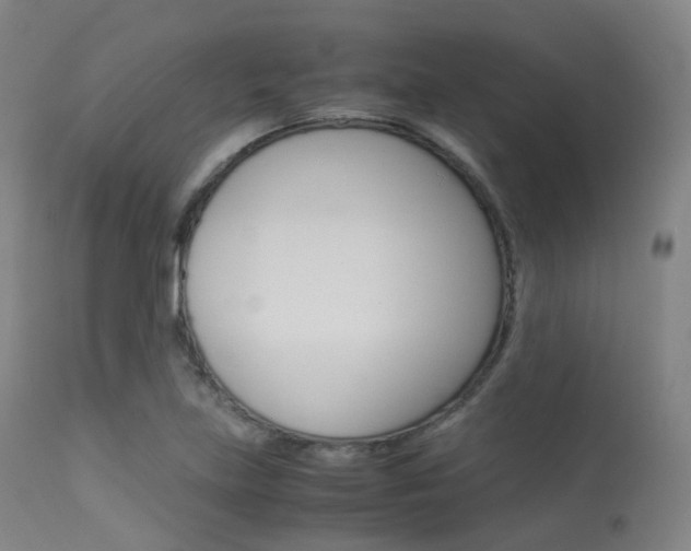 X0000113541219200909181015