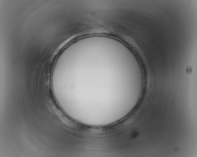 X0000113541220200909181015