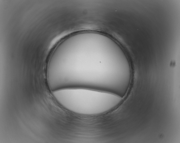 X0000113541222200909181015