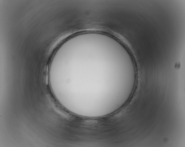 X0000113541223200909181015