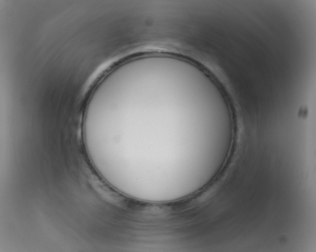 X0000113541224200909181015