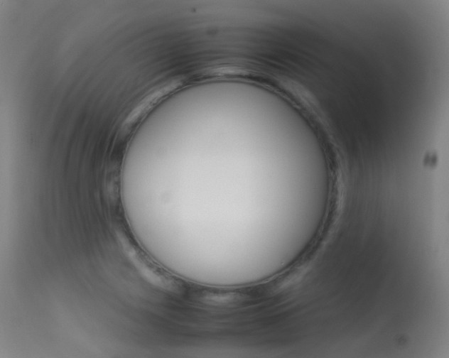 X0000113541225200909181015