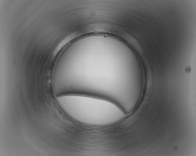 X0000113541226200909181015