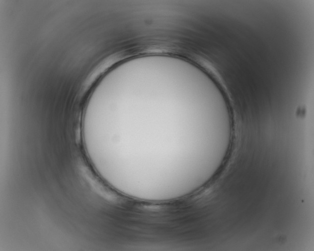 X0000113541227200909181015