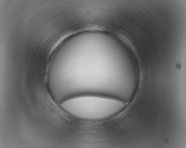 X0000113541228200909181015
