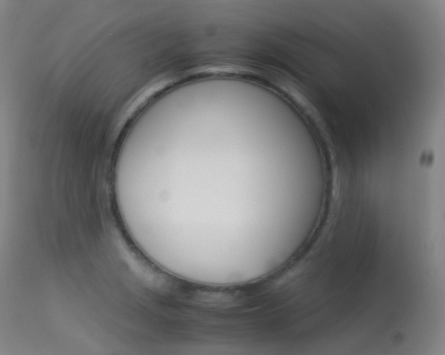X0000113541229200909181015