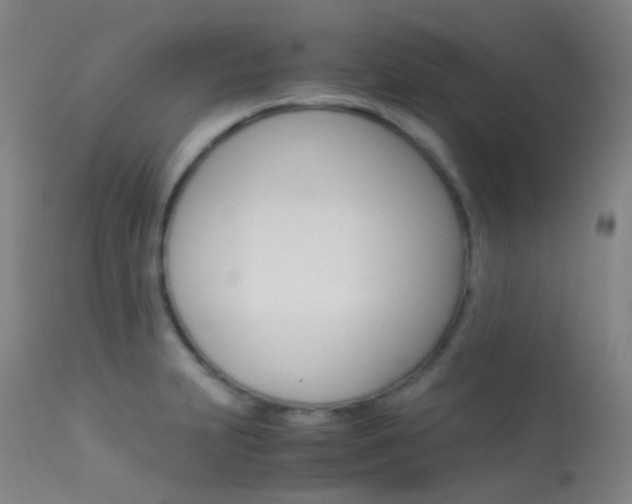 X0000113541231200909181016