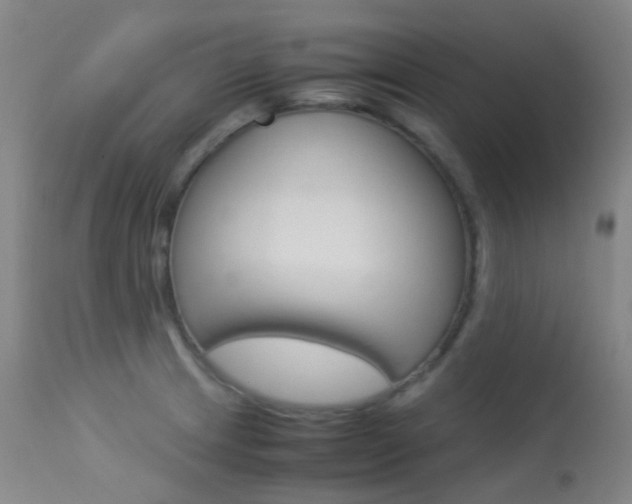 X0000113541233200909181016