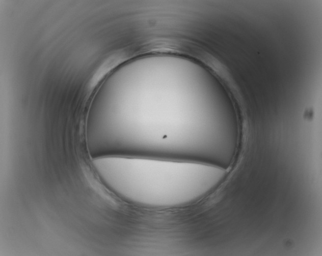 X0000113541234200909181016