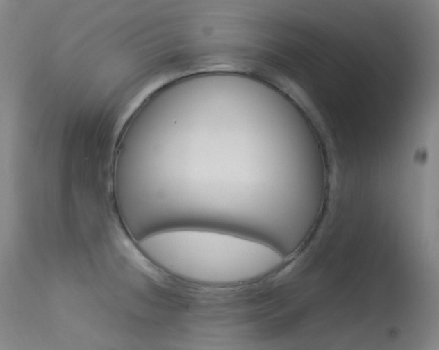X0000113541236200909181016