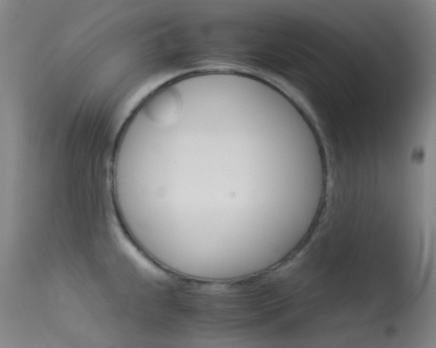 X0000113541239200909181016