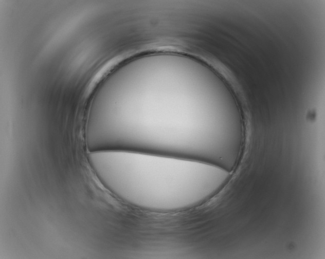 X0000113541240200909181016