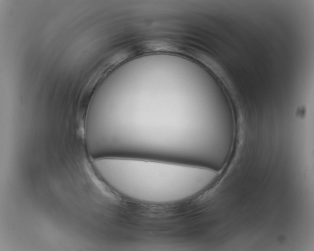 X0000113541241200909181016
