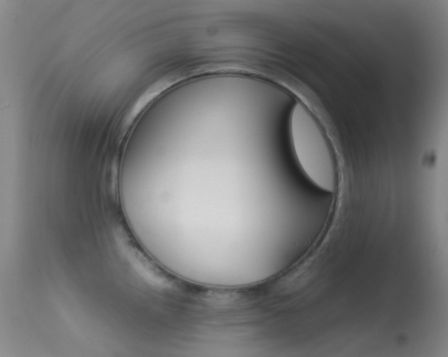 X0000113541242200909181016