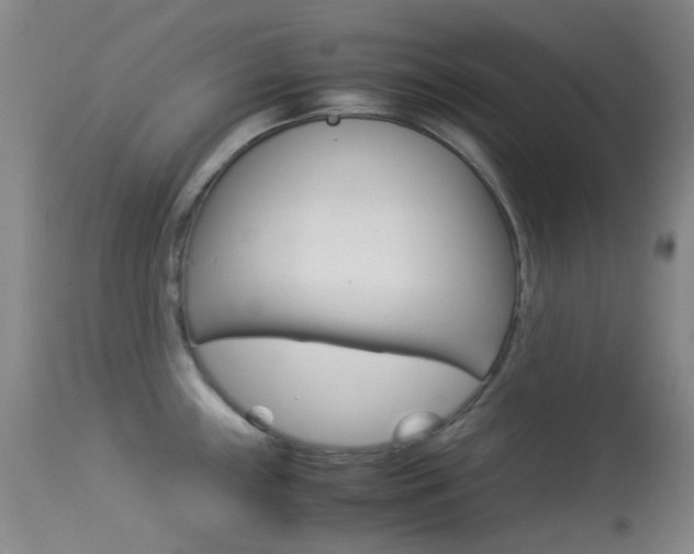 X0000113541243200909181016