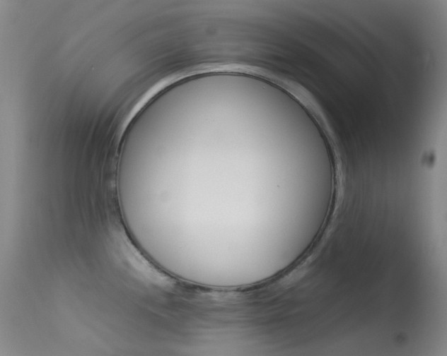 X0000113541244200909181016