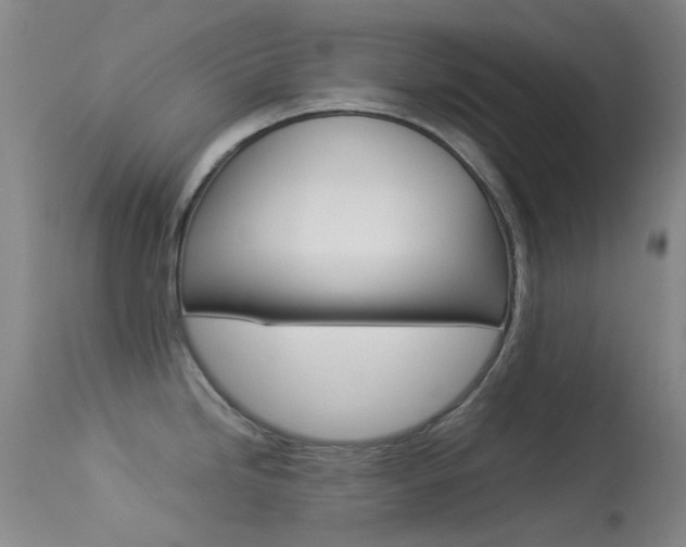 X0000113541246200909181016