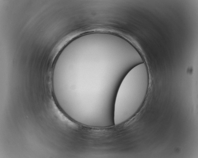 X0000113541247200909181016