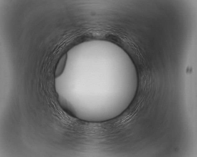 X0000113541249200909181015