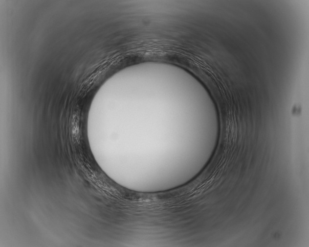 X0000113541250200909181015
