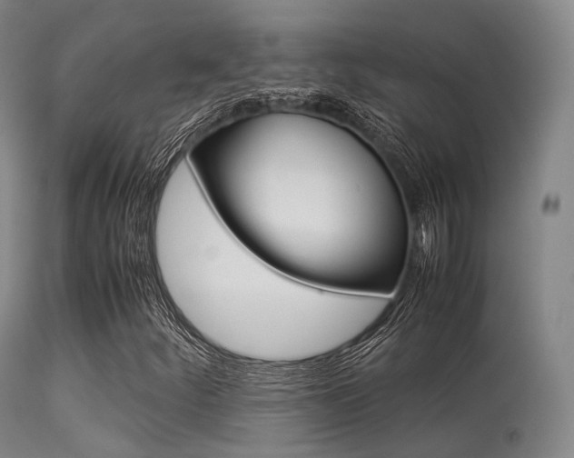 X0000113541252200909181015