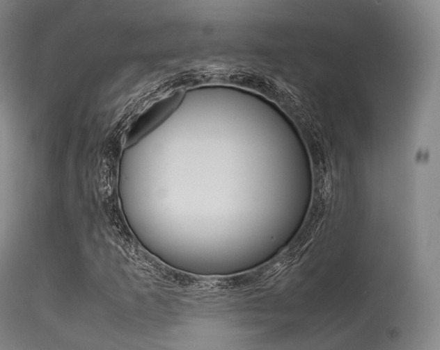 X0000113541253200909181015