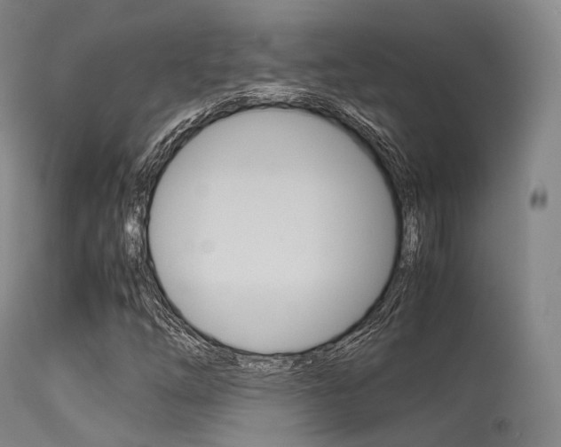 X0000113541254200909181015
