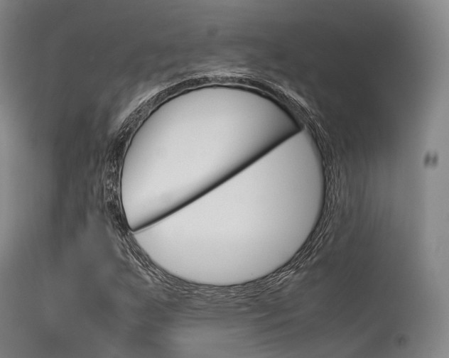 X0000113541255200909181015