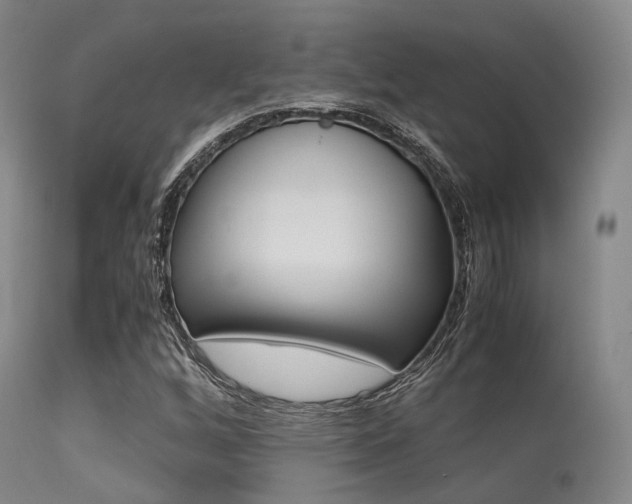 X0000113541256200909181015