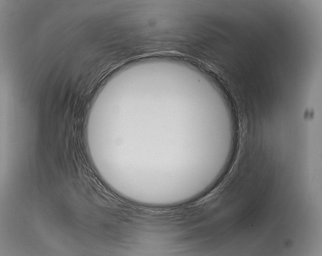 X0000113541257200909181015