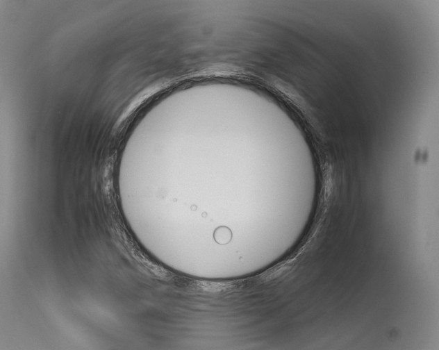 X0000113541258200909181015