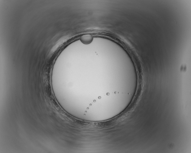 X0000113541259200909181015