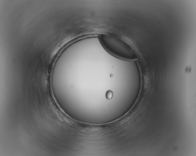 X0000113541260200909181015