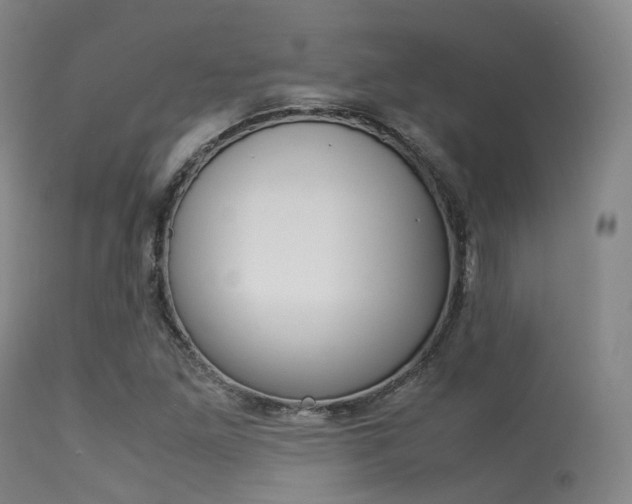 X0000113541261200909181015