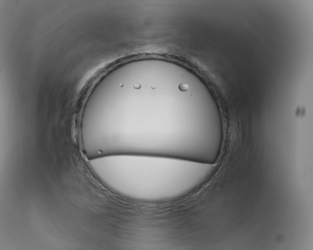 X0000113541262200909181015