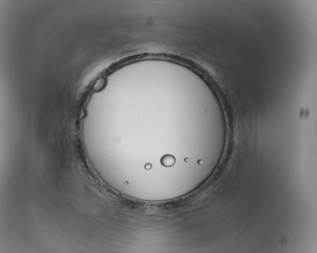 X0000113541263200909181015