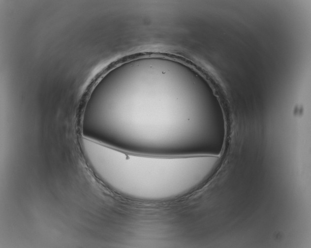 X0000113541264200909181015