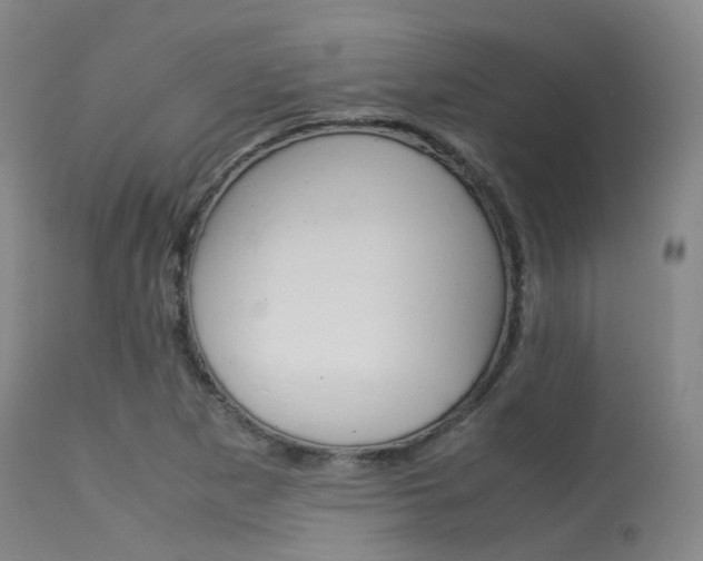 X0000113541265200909181015
